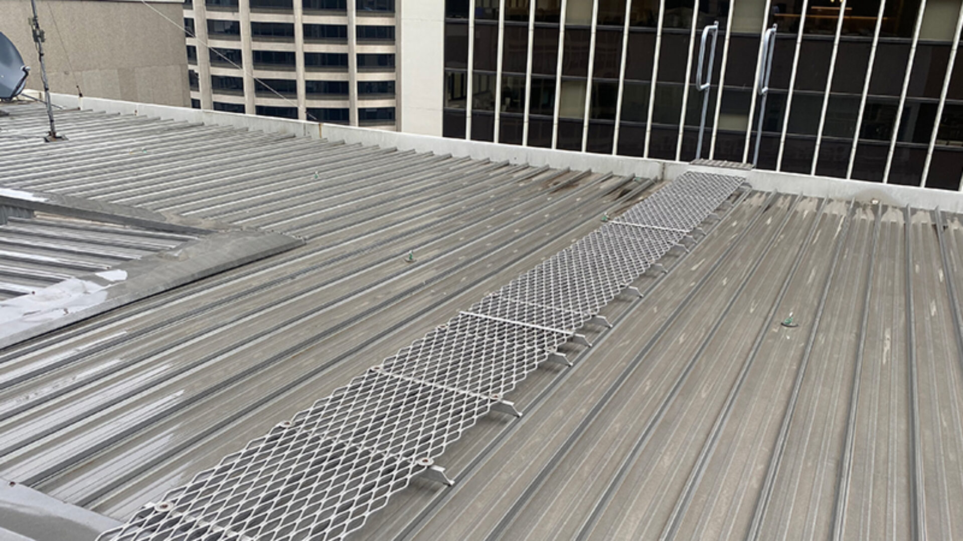 Metal walkway on a metal roof.
