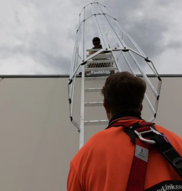 A worker at teh bottom of a ladder looking up it to his colleague, who is at the top.